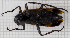  ( - RM3_117)  @11 [ ] (by-nc-nd) (2024) Unspecified Università degli Studi Roma Tre