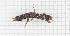  ( - RM3_30)  @11 [ ] (by-nc-nd) (2024) Unspecified Università degli Studi Roma Tre