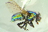  ( - BCFORENSIK0708)  @13 [ ] CreativeCommons - Attribution Non-Commercial Share-Alike (2015) Unspecified SNSB, Zoologische Staatssammlung Muenchen