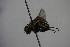  ( - BCFORENSIK_0618)  @12 [ ] CreativeCommons - Attribution Non-Commercial Share-Alike (2015) Unspecified SNSB, Zoologische Staatssammlung Muenchen