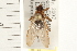  ( - HF023)  @14 [ ] CreativeCommons - Attribution (2008) Unspecified Centre for Biodiversity Genomics