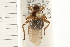  ( - HF026)  @14 [ ] CreativeCommons - Attribution (2008) Unspecified Centre for Biodiversity Genomics