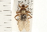  ( - HF035)  @14 [ ] CreativeCommons - Attribution (2008) Unspecified Centre for Biodiversity Genomics