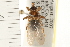  ( - HF064)  @14 [ ] CreativeCommons - Attribution (2008) Unspecified Centre for Biodiversity Genomics