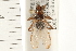  ( - HF067)  @14 [ ] CreativeCommons - Attribution (2008) Unspecified Centre for Biodiversity Genomics