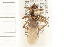  ( - HF077)  @14 [ ] CreativeCommons - Attribution (2008) Unspecified Centre for Biodiversity Genomics