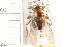  ( - HF086)  @14 [ ] CreativeCommons - Attribution (2008) Unspecified Centre for Biodiversity Genomics
