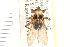  ( - HF096)  @14 [ ] CreativeCommons - Attribution (2008) Unspecified Centre for Biodiversity Genomics