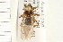  ( - HF120)  @14 [ ] CreativeCommons - Attribution (2008) Unspecified Centre for Biodiversity Genomics