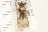  ( - HF127)  @14 [ ] CreativeCommons - Attribution (2008) Unspecified Centre for Biodiversity Genomics
