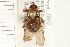  ( - HF137)  @14 [ ] CreativeCommons - Attribution (2008) Unspecified Centre for Biodiversity Genomics