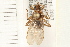  ( - HF147)  @14 [ ] CreativeCommons - Attribution (2008) Unspecified Centre for Biodiversity Genomics