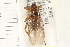  ( - HF151)  @14 [ ] CreativeCommons - Attribution (2008) Unspecified Centre for Biodiversity Genomics