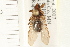  ( - HF154)  @14 [ ] CreativeCommons - Attribution (2008) Unspecified Centre for Biodiversity Genomics