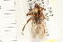  ( - HF155)  @14 [ ] CreativeCommons - Attribution (2008) Unspecified Centre for Biodiversity Genomics