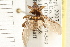  ( - HF160)  @14 [ ] CreativeCommons - Attribution (2008) Unspecified Centre for Biodiversity Genomics