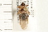  ( - HF179)  @14 [ ] CreativeCommons - Attribution (2008) Unspecified Centre for Biodiversity Genomics