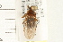  ( - HF182)  @14 [ ] CreativeCommons - Attribution (2008) Unspecified Centre for Biodiversity Genomics