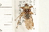  ( - HF185)  @14 [ ] CreativeCommons - Attribution (2008) Unspecified Centre for Biodiversity Genomics