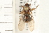  ( - HF186)  @14 [ ] CreativeCommons - Attribution (2008) Unspecified Centre for Biodiversity Genomics