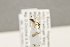  ( - BC-ZSM-HYM-22281-B02)  @13 [ ] CreativeCommons - Attribution Non-Commercial Share-Alike (2016) SNSB, Staatliche Naturwissenschaftliche Sammlungen Bayerns ZSM (SNSB, Zoologische Staatssammlung Muenchen)