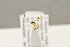 ( - BC-ZSM-HYM-22281-H10)  @12 [ ] CreativeCommons - Attribution Non-Commercial Share-Alike (2016) SNSB, Staatliche Naturwissenschaftliche Sammlungen Bayerns ZSM (SNSB, Zoologische Staatssammlung Muenchen)