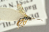  ( - BC-ZSM-HYM-27451-B08)  @12 [ ] CreativeCommons - Attribution Non-Commercial Share-Alike (2016) SNSB, Staatliche Naturwissenschaftliche Sammlungen Bayerns ZSM (SNSB, Zoologische Staatssammlung Muenchen)