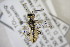  ( - BC ZSM HYM 22191)  @11 [ ] CreativeCommons - Attribution Non-Commercial Share-Alike (2015) Unspecified SNSB, Zoologische Staatssammlung Muenchen