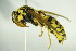  ( - BC ZSM HYM 21002)  @13 [ ] Unspecified (default): All Rights Reserved  Unspecified Unspecified