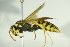  ( - BC ZSM HYM 21003)  @13 [ ] Unspecified (default): All Rights Reserved  Unspecified Unspecified