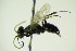  ( - BC ZSM HYM 21017)  @13 [ ] Unspecified (default): All Rights Reserved  Unspecified Unspecified
