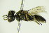  ( - BC ZSM HYM 21025)  @12 [ ] Unspecified (default): All Rights Reserved  Unspecified Unspecified