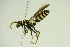  ( - BC ZSM HYM 21034)  @13 [ ] Unspecified (default): All Rights Reserved  Unspecified Unspecified