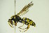  ( - BC ZSM HYM 21036)  @13 [ ] Unspecified (default): All Rights Reserved  Unspecified Unspecified
