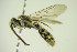  ( - BC ZSM HYM 21041)  @12 [ ] Unspecified (default): All Rights Reserved  Unspecified Unspecified
