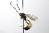  ( - CollHH3518)  @11 [ ] Creative Commons  Attribution Non-Commercial Share-Alike (2022) Hakon Haraldseide Unspecified