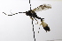  ( - CollHH3519)  @11 [ ] Creative Commons  Attribution Non-Commercial Share-Alike (2022) Hakon Haraldseide Unspecified