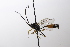  ( - CollHH3532)  @11 [ ] Creative Commons  Attribution Non-Commercial Share-Alike (2022) Hakon Haraldseide Unspecified