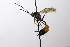  ( - CollHH3533)  @11 [ ] Creative Commons  Attribution Non-Commercial Share-Alike (2022) Hakon Haraldseide Unspecified