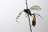  ( - CollHH3534)  @11 [ ] Creative Commons  Attribution Non-Commercial Share-Alike (2022) Hakon Haraldseide Unspecified