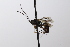  ( - CollHH3538)  @11 [ ] Creative Commons  Attribution Non-Commercial Share-Alike (2022) Hakon Haraldseide Unspecified