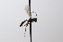  ( - CollHH3602)  @11 [ ] Creative Commons  Attribution Non-Commercial Share-Alike (2022) Hakon Haraldseide Unspecified