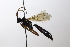  ( - CollHH3609)  @11 [ ] Creative Commons  Attribution Non-Commercial Share-Alike (2022) Hakon Haraldseide Unspecified