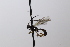  ( - CollHH3612)  @11 [ ] Creative Commons  Attribution Non-Commercial Share-Alike (2022) Hakon Haraldseide Unspecified