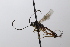  ( - CollHH3639)  @11 [ ] Creative Commons  Attribution Non-Commercial Share-Alike (2022) Hakon Haraldseide Unspecified