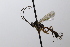  ( - CollHH3640)  @11 [ ] Creative Commons  Attribution Non-Commercial Share-Alike (2022) Hakon Haraldseide Unspecified