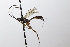  ( - CollHH3641)  @11 [ ] Creative Commons  Attribution Non-Commercial Share-Alike (2022) Hakon Haraldseide Unspecified
