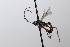  ( - CollHH3643)  @11 [ ] Creative Commons  Attribution Non-Commercial Share-Alike (2022) Hakon Haraldseide Unspecified