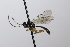  ( - CollHH3663)  @11 [ ] Creative Commons  Attribution Non-Commercial Share-Alike (2022) Hakon Haraldseide Unspecified