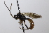  ( - CollHH3664)  @11 [ ] Creative Commons  Attribution Non-Commercial Share-Alike (2022) Hakon Haraldseide Unspecified